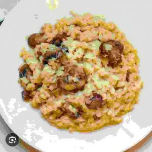 Imagem antes - Risoto Gourmet